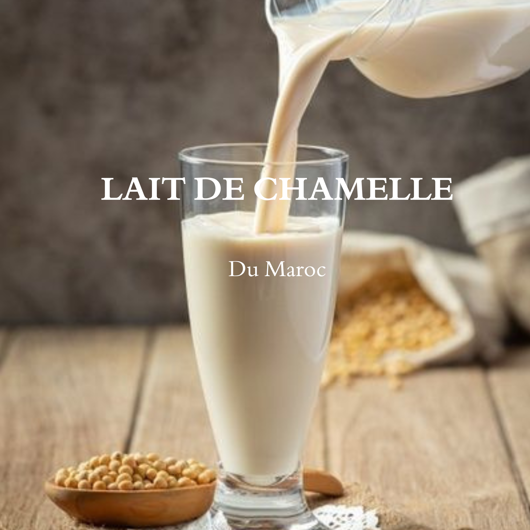 Savon Artisanal Lait de Chamelle