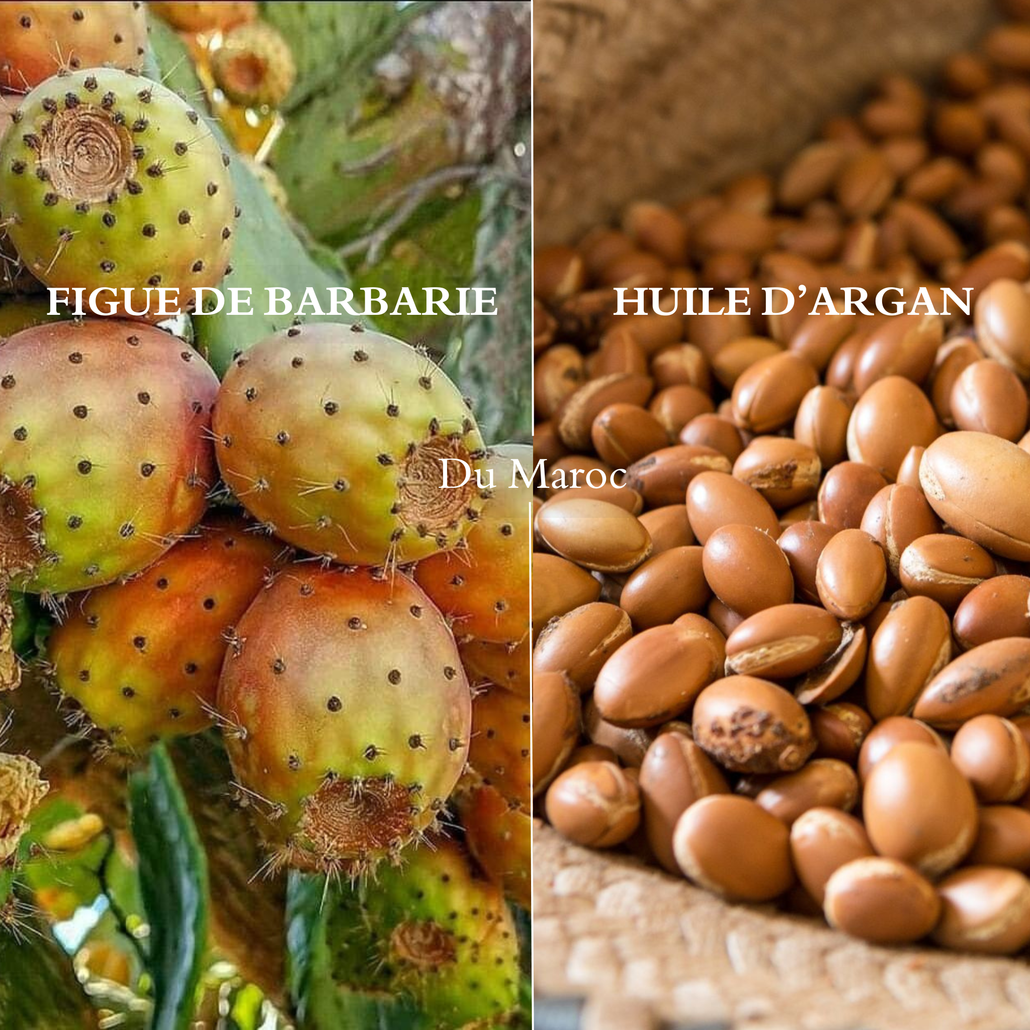 Shampoing Figue de Barbarie et Huile d’Argan