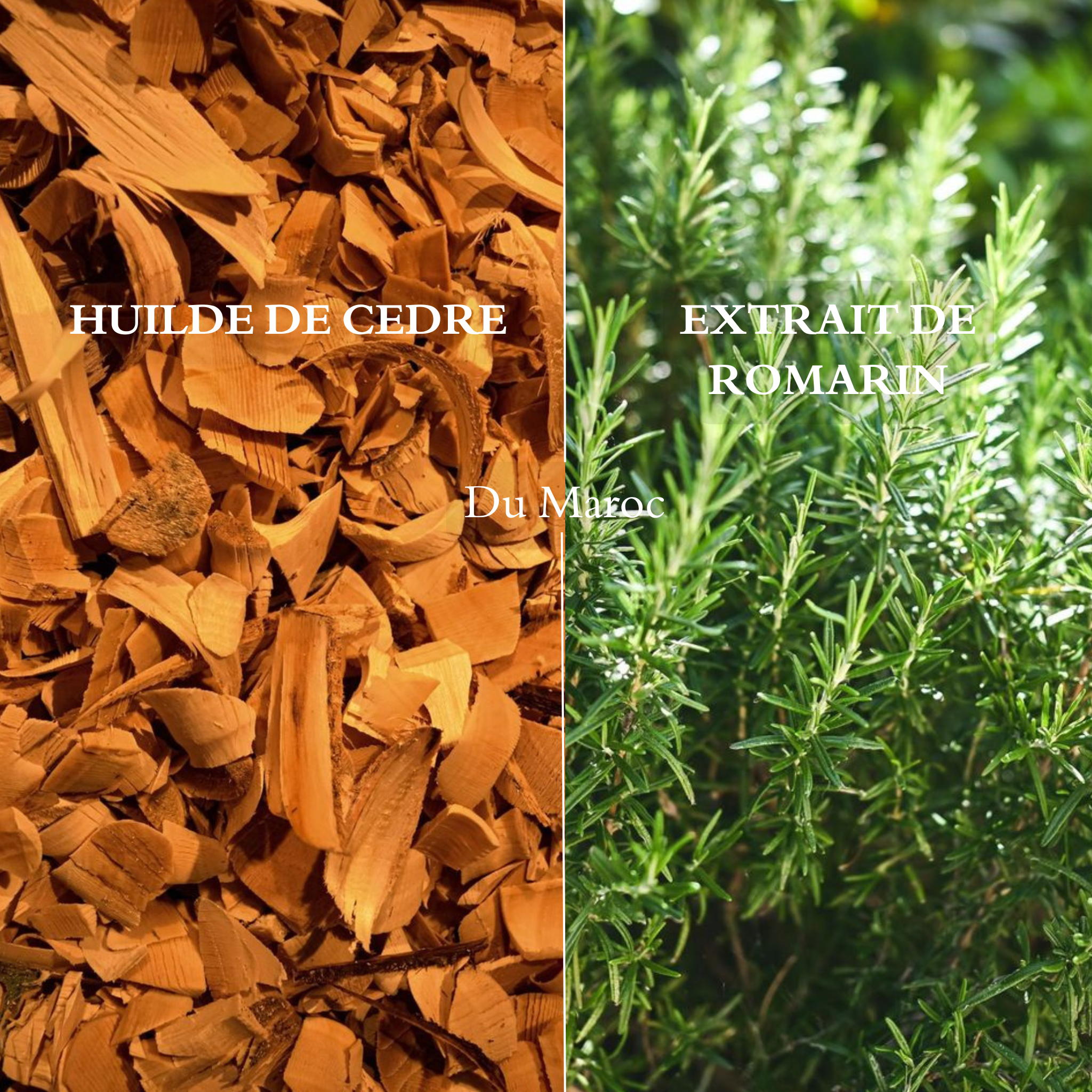 Shampoing Huile de Cèdre et Extrait de Romarin